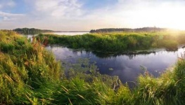 image of wetland