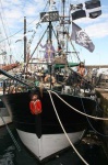 image of pirate_ship #717