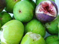 image of fig