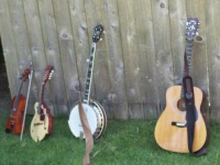 image of banjo