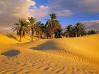 image of desert