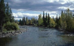 image of river