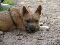 image of cairn