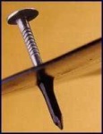 image of nail