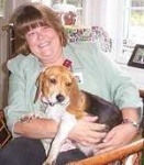 image of english_foxhound