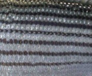 image of texture