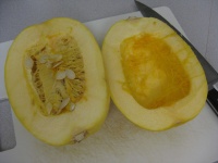 image of spaghetti_squash