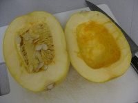 image of spaghetti_squash #0