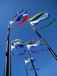 image of flagpole
