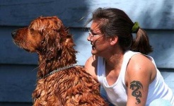 image of irish_setter