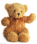 image of teddy_bear