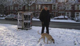 image of whippet