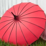 image of umbrella #17
