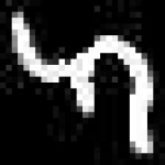 image of amharic