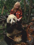 image of giant_panda