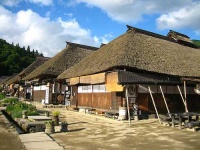 image of thatch