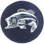 image of animal