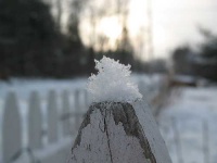 image of picket_fence
