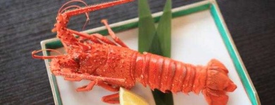 image of lobster