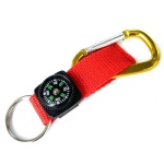 image of magnetic_compass