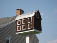 image of birdhouse