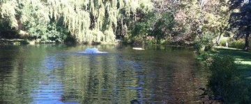image of pond