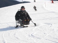 image of ski