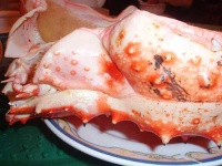 image of king_crab