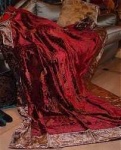 image of velvet