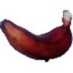 image of fruit