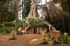 image of swamp