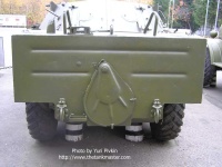image of amphibian