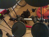 image of drum