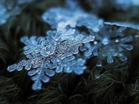 image of snowflake
