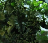 image of texture