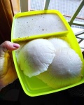 image of food