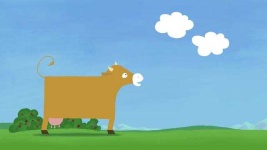 image of animal