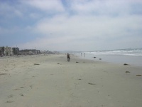 image of seashore