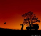 image of jeep_car