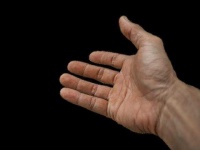 image of hand #8