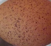 image of texture