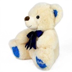 image of teddy_bear