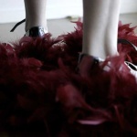 image of feather_boa