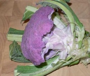 image of cauliflower