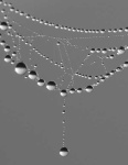 image of jewellery