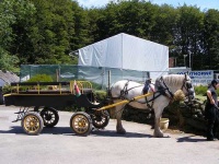 image of horse_cart #33