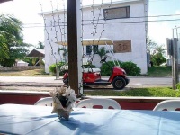 image of golfcart
