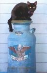 image of drinks