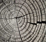 image of texture