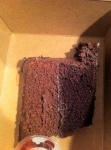 image of food